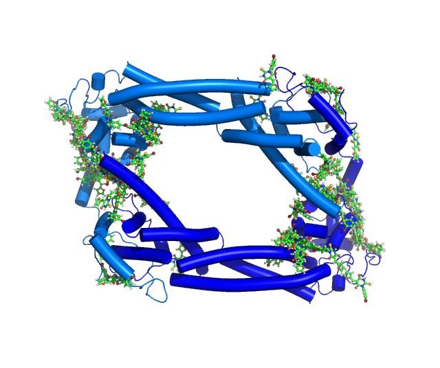 Formins & Small Molecules