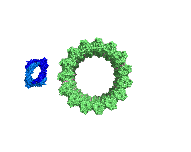 Formins & Microtubules